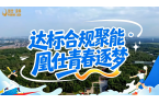 达标合规聚能，凰仕青春逐梦 以青春聚力，
